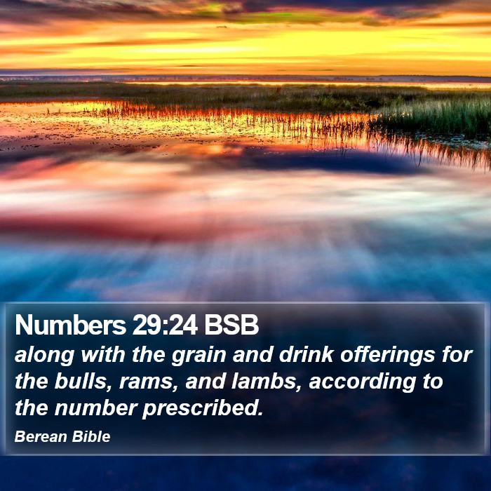 Numbers 29:24 BSB Bible Study