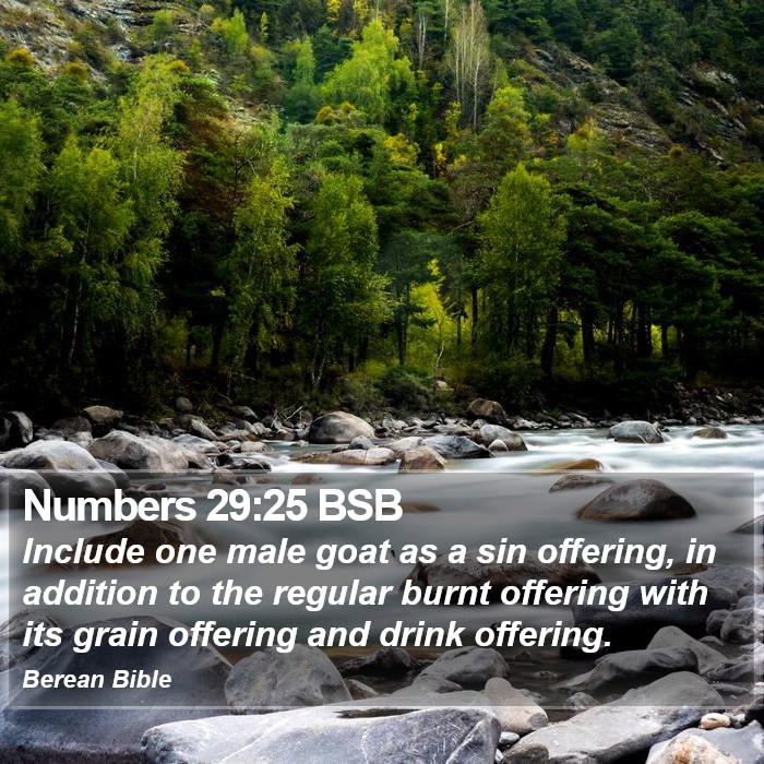 Numbers 29:25 BSB Bible Study