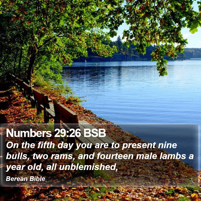 Numbers 29:26 BSB Bible Study