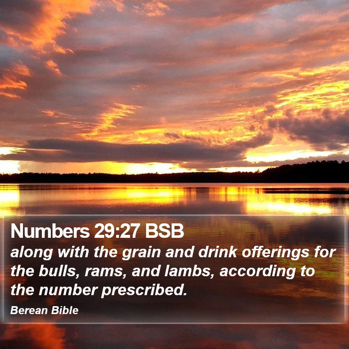 Numbers 29:27 BSB Bible Study