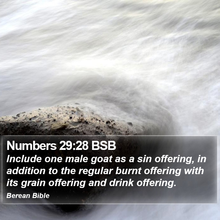 Numbers 29:28 BSB Bible Study