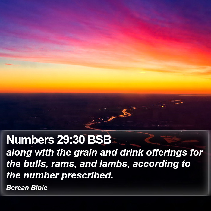 Numbers 29:30 BSB Bible Study