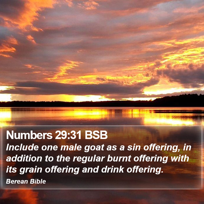 Numbers 29:31 BSB Bible Study