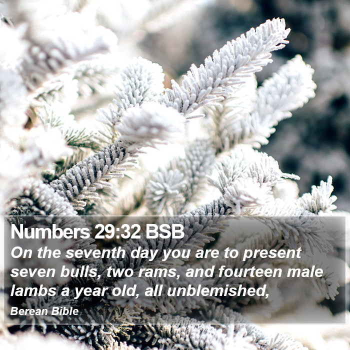 Numbers 29:32 BSB Bible Study