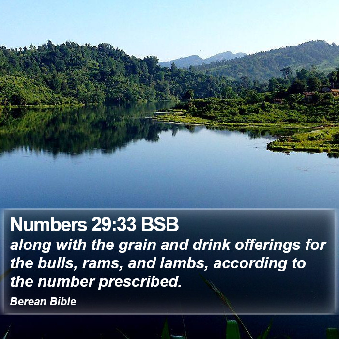 Numbers 29:33 BSB Bible Study