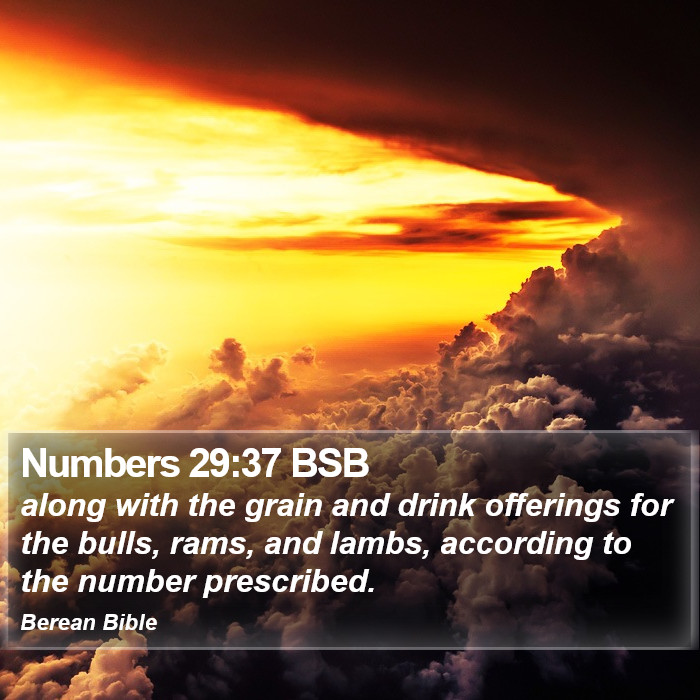 Numbers 29:37 BSB Bible Study