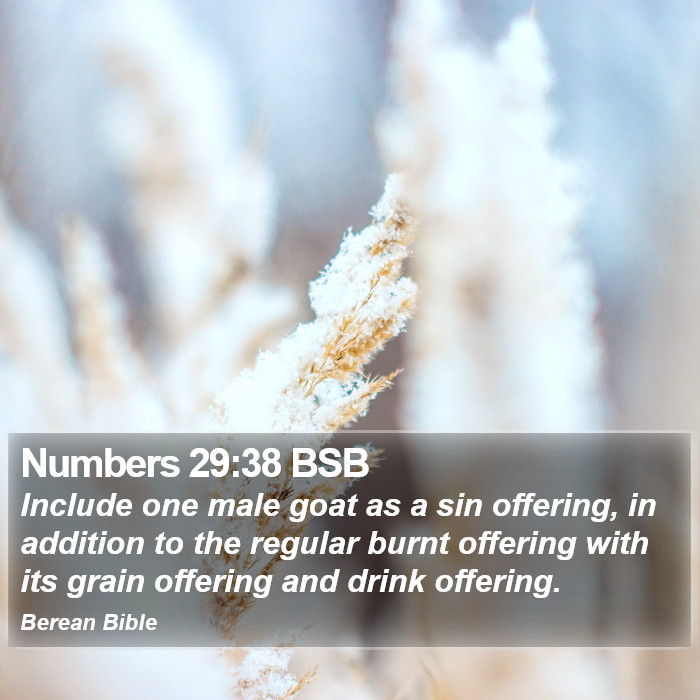 Numbers 29:38 BSB Bible Study