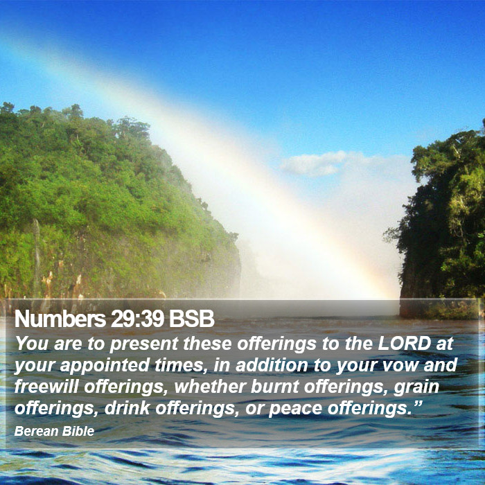 Numbers 29:39 BSB Bible Study