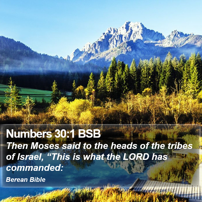 Numbers 30:1 BSB Bible Study