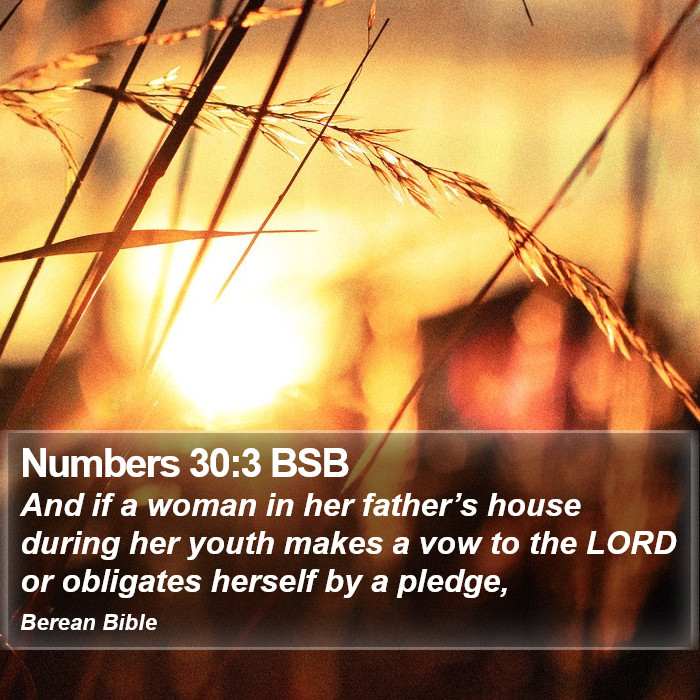 Numbers 30:3 BSB Bible Study