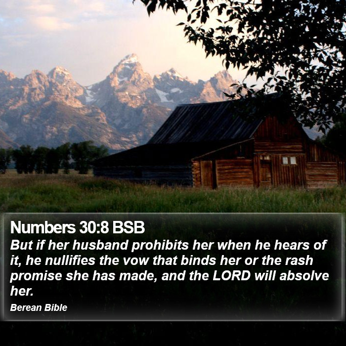 Numbers 30:8 BSB Bible Study