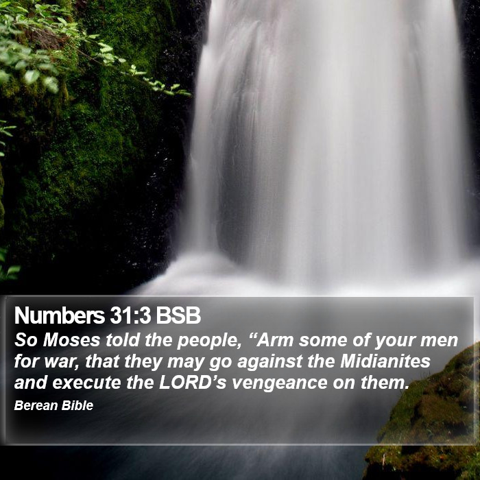 Numbers 31:3 BSB Bible Study