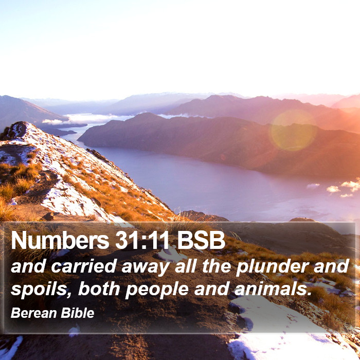 Numbers 31:11 BSB Bible Study