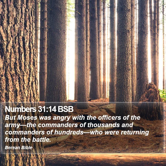 Numbers 31:14 BSB Bible Study