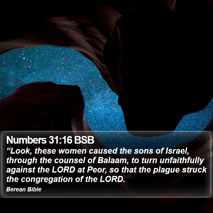 Numbers 31:16 BSB Bible Study