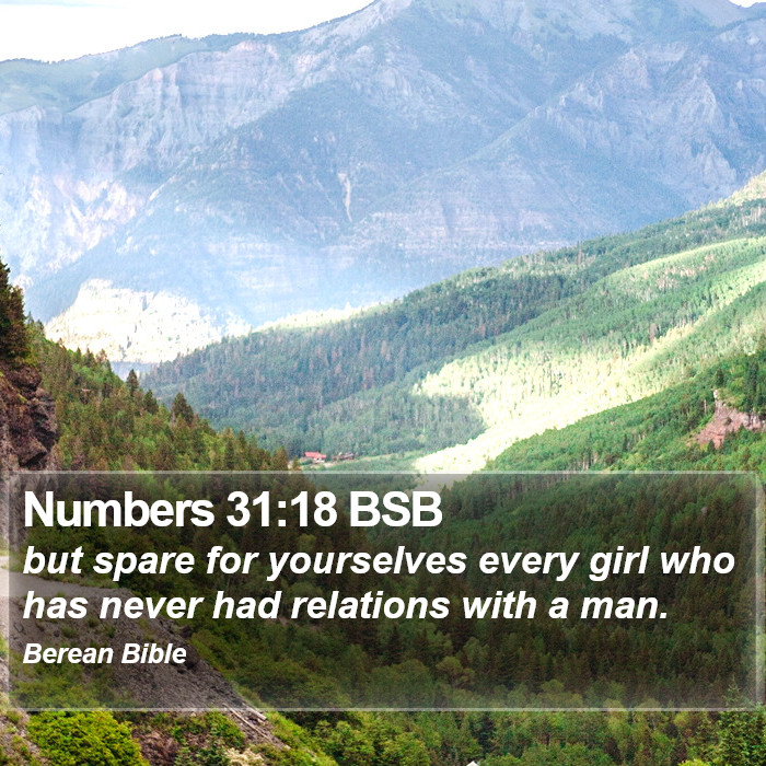 Numbers 31:18 BSB Bible Study