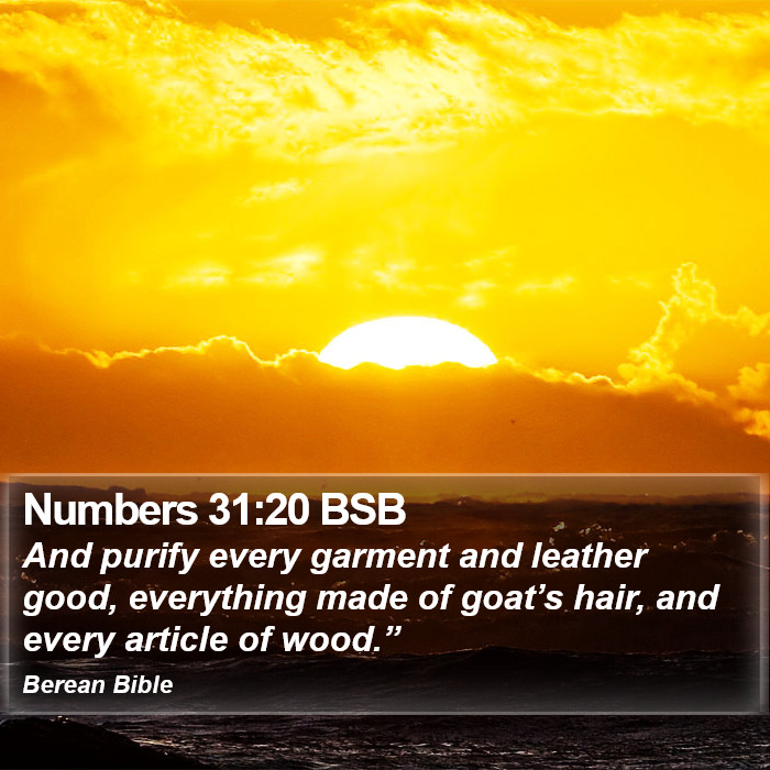 Numbers 31:20 BSB Bible Study