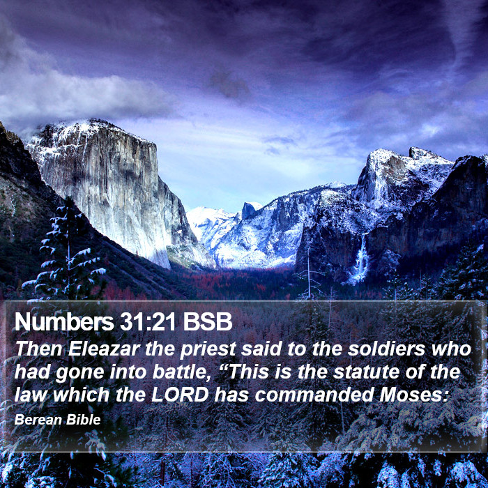 Numbers 31:21 BSB Bible Study