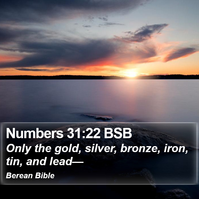 Numbers 31:22 BSB Bible Study