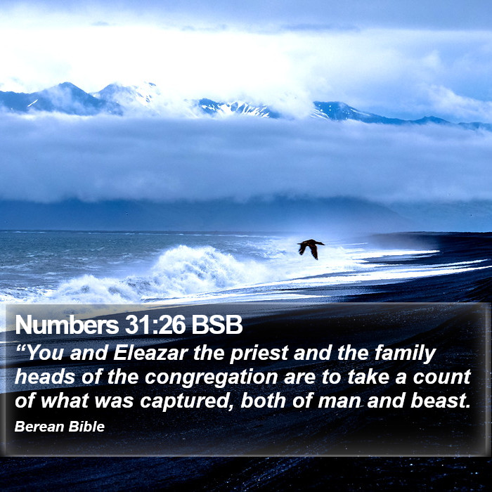 Numbers 31:26 BSB Bible Study