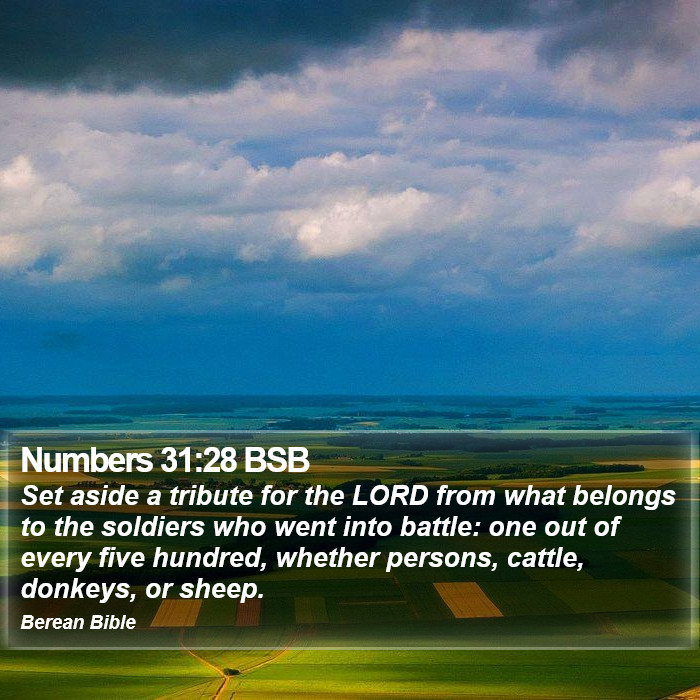 Numbers 31:28 BSB Bible Study