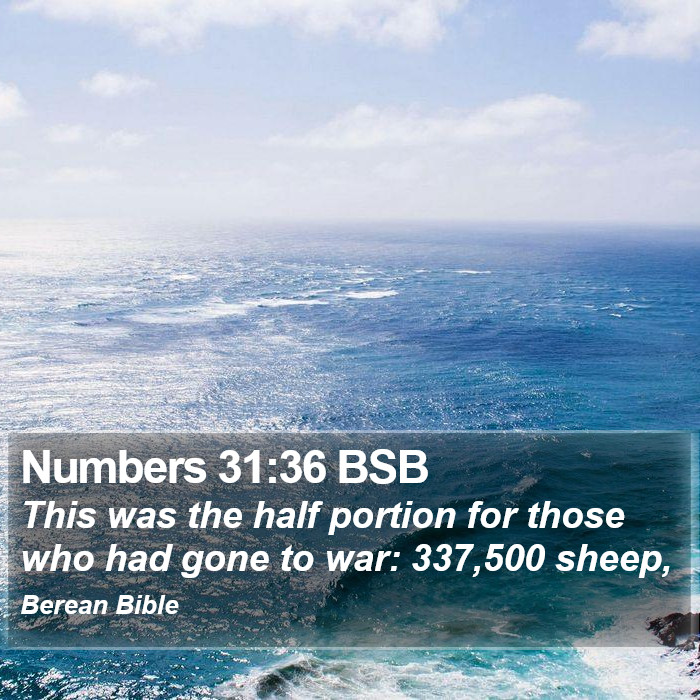 Numbers 31:36 BSB Bible Study