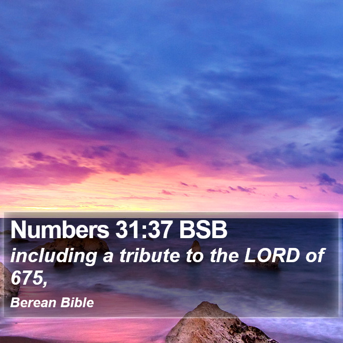 Numbers 31:37 BSB Bible Study