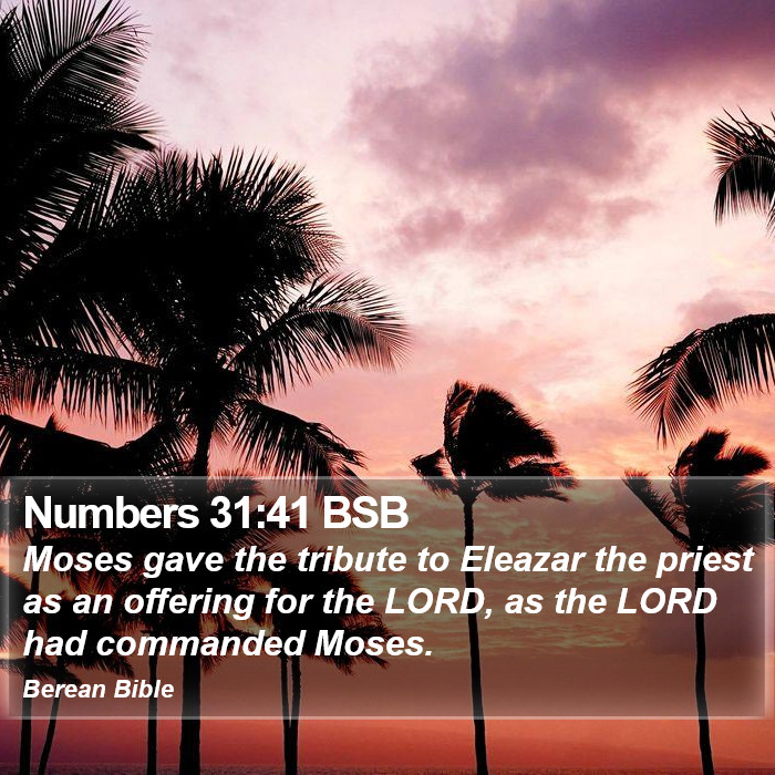 Numbers 31:41 BSB Bible Study