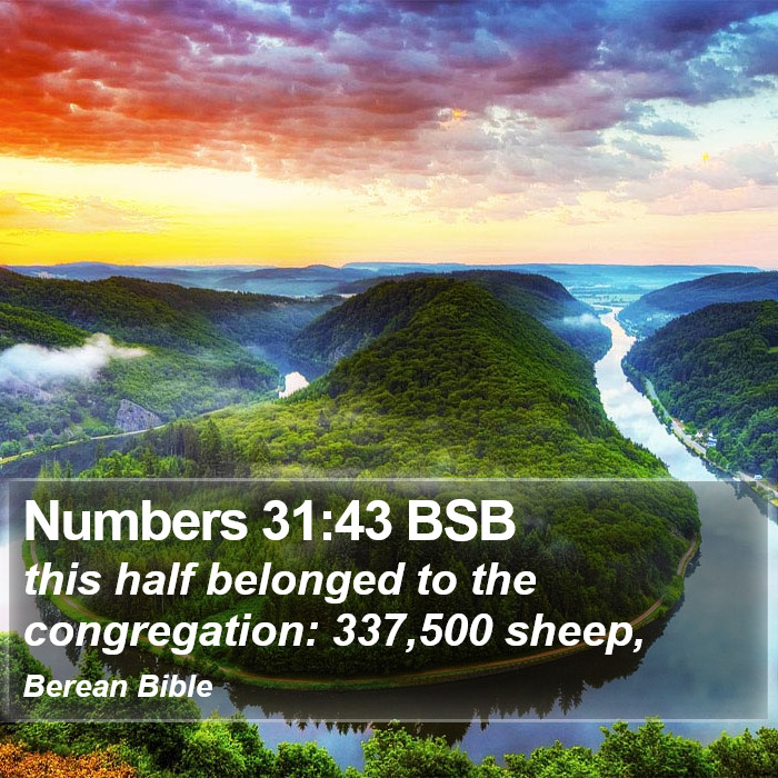 Numbers 31:43 BSB Bible Study