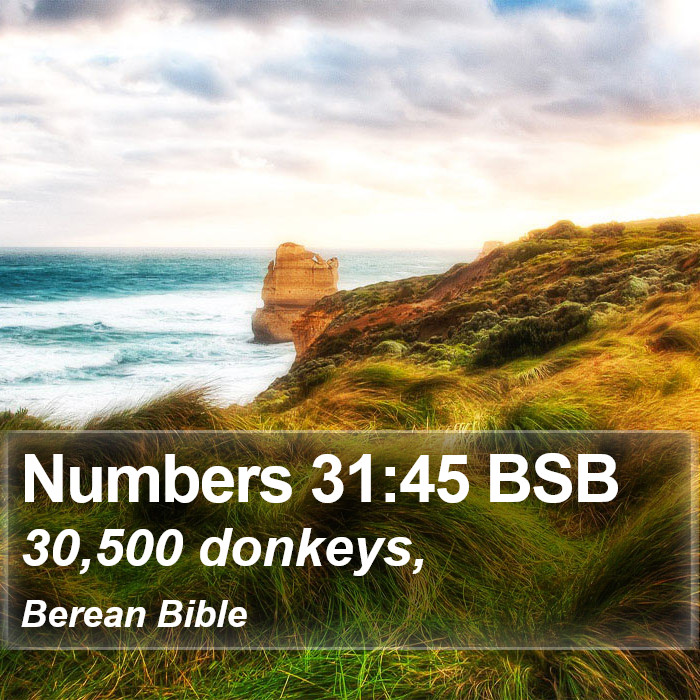 Numbers 31:45 BSB Bible Study