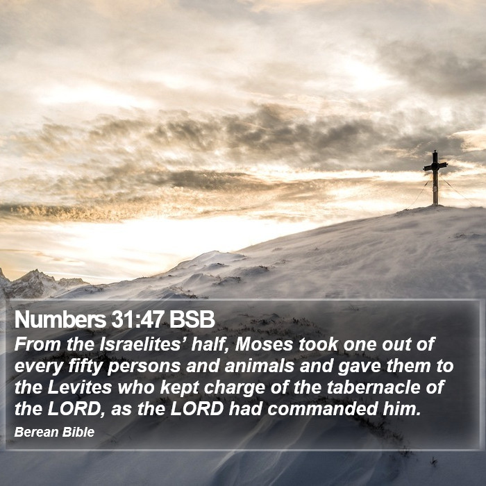 Numbers 31:47 BSB Bible Study