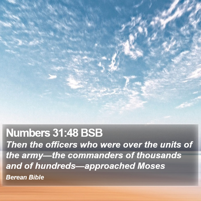 Numbers 31:48 BSB Bible Study