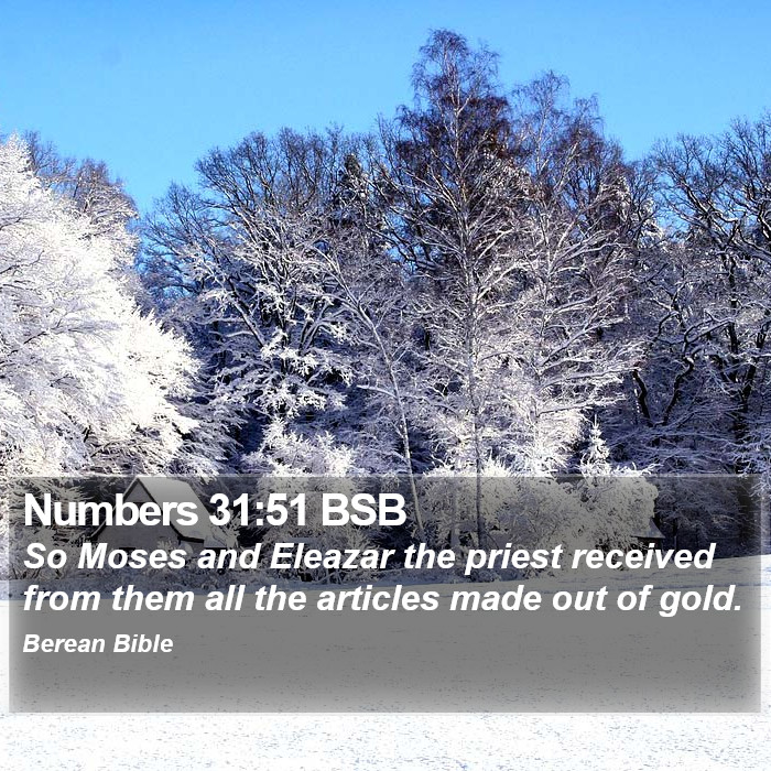 Numbers 31:51 BSB Bible Study