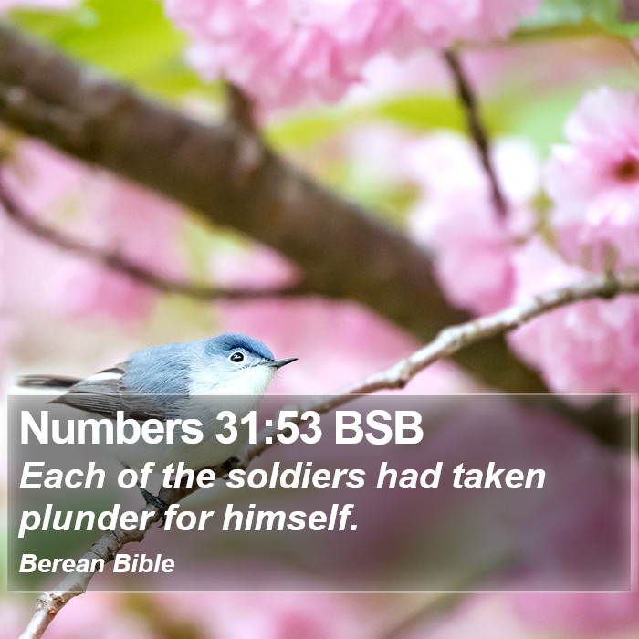 Numbers 31:53 BSB Bible Study