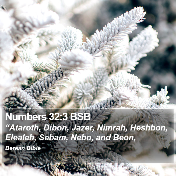 Numbers 32:3 BSB Bible Study