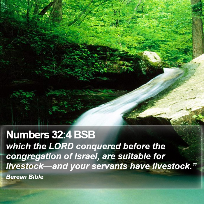 Numbers 32:4 BSB Bible Study