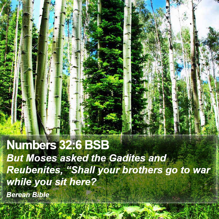 Numbers 32:6 BSB Bible Study