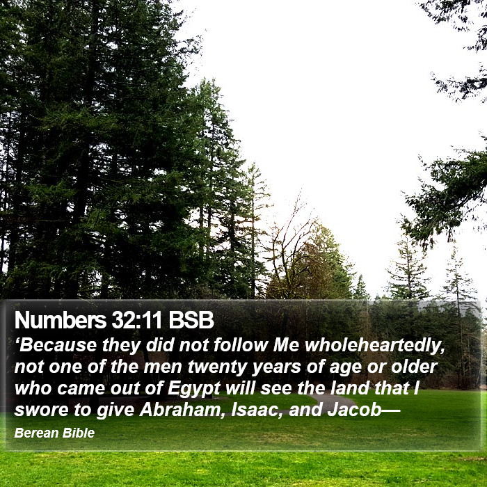 Numbers 32:11 BSB Bible Study