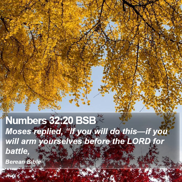 Numbers 32:20 BSB Bible Study