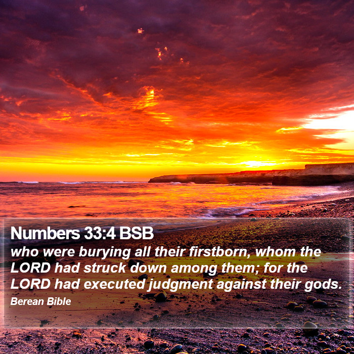 Numbers 33:4 BSB Bible Study