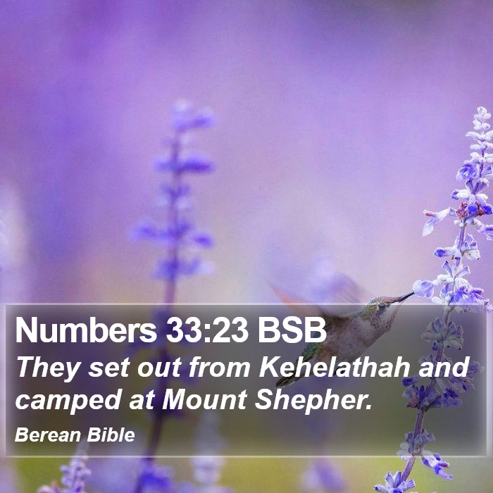 Numbers 33:23 BSB Bible Study