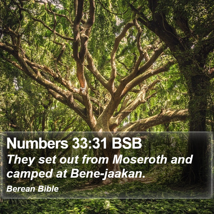 Numbers 33:31 BSB Bible Study