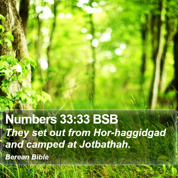 Numbers 33:33 BSB Bible Study