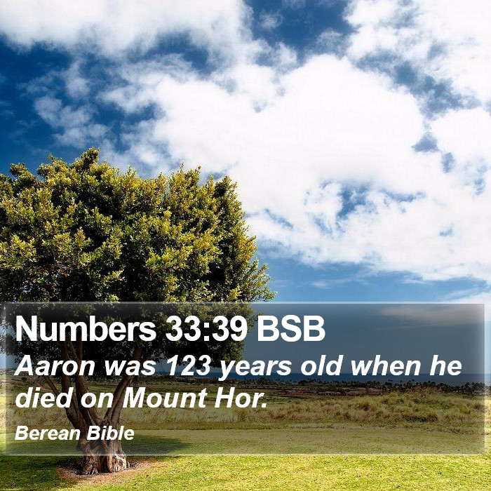 Numbers 33:39 BSB Bible Study