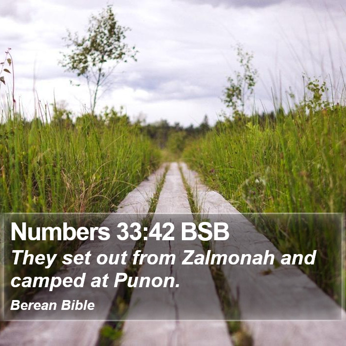 Numbers 33:42 BSB Bible Study