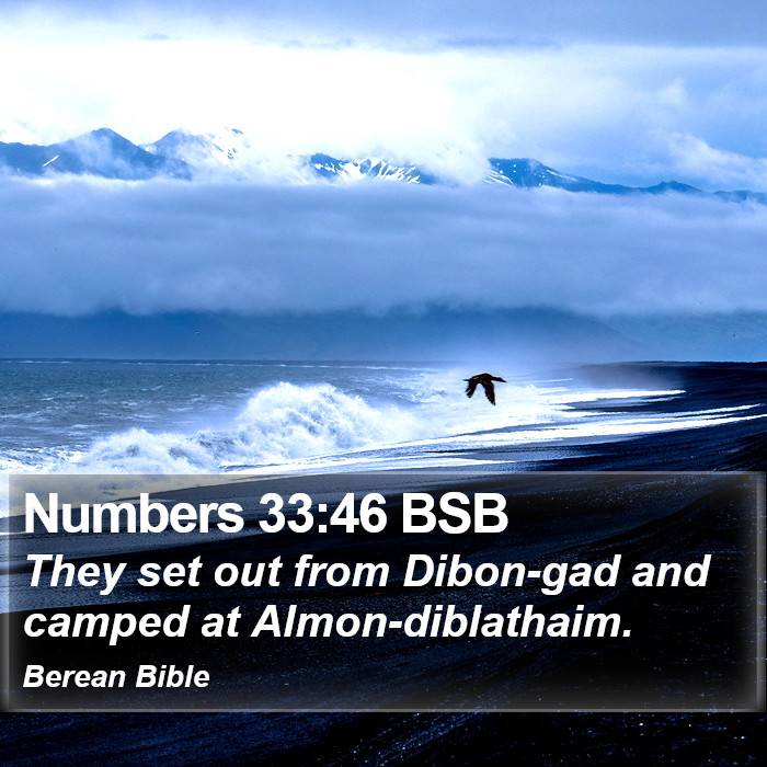 Numbers 33:46 BSB Bible Study