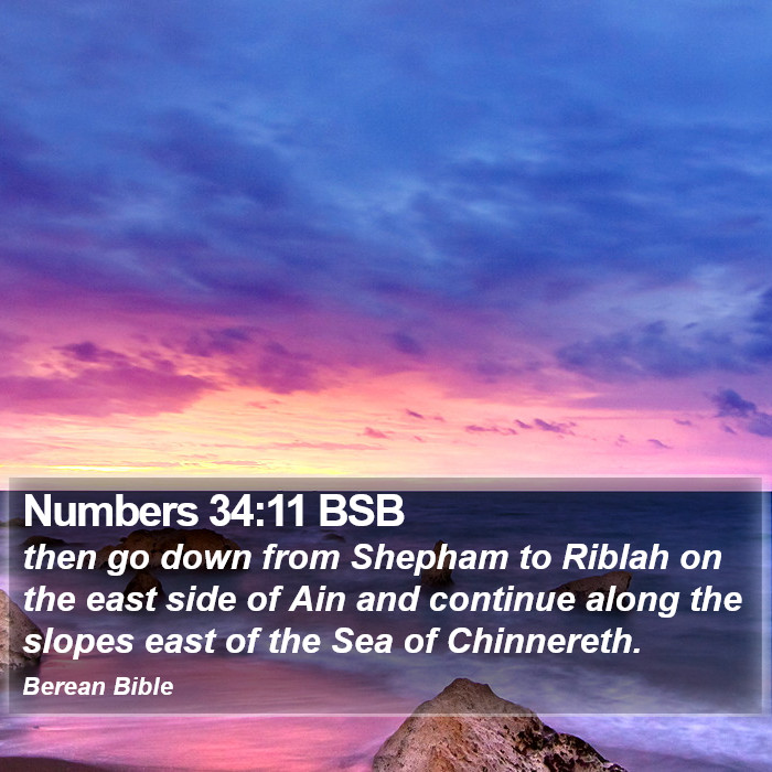 Numbers 34:11 BSB Bible Study