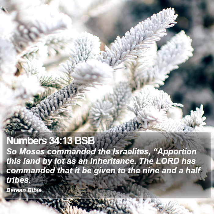 Numbers 34:13 BSB Bible Study