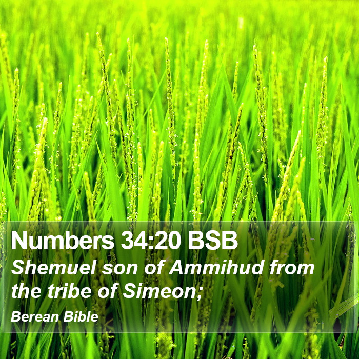 Numbers 34:20 BSB Bible Study