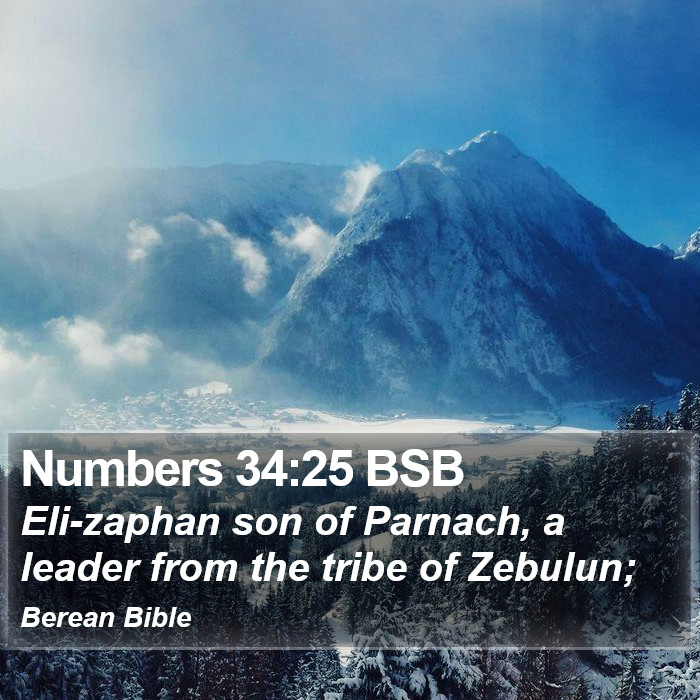 Numbers 34:25 BSB Bible Study